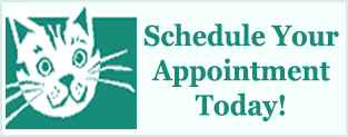 schedule appointment